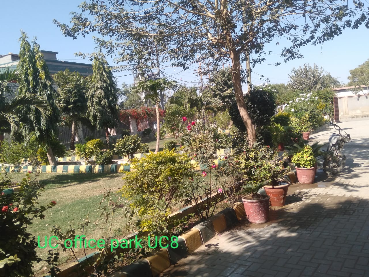 parks-and-playgrounds-202501270851330.webp